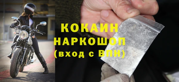 амф Бородино