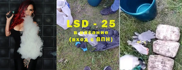 амф Бородино