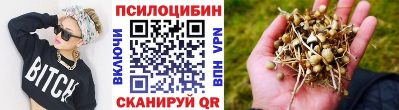 Псилоцибиновые грибы прущие грибы  Новомосковск 